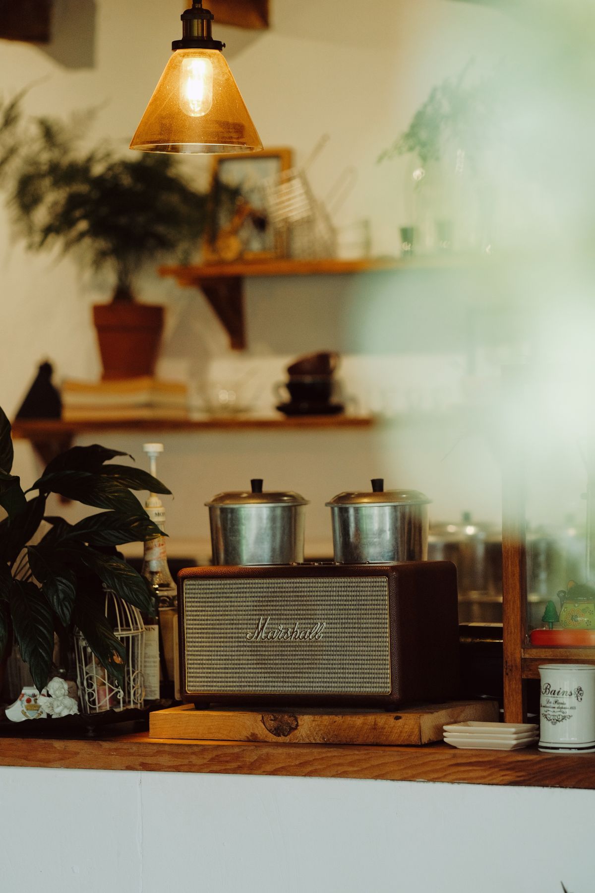 Cozy specialty cafe interior with retro speaker, pendant lamp and plants, Busan coffee shop