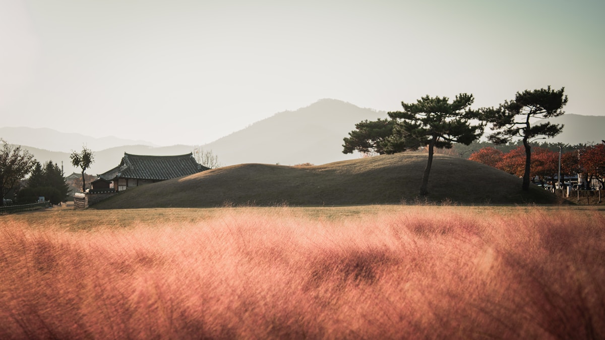 Royal burial mound with traditional building and pine trees amid pink grass, Gyeongju, South Korea