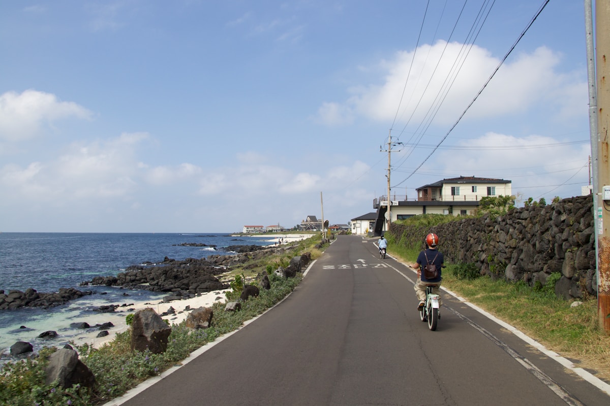 Person riding a scooter on a coastal road lined with Jeju's distinctive lava rock walls