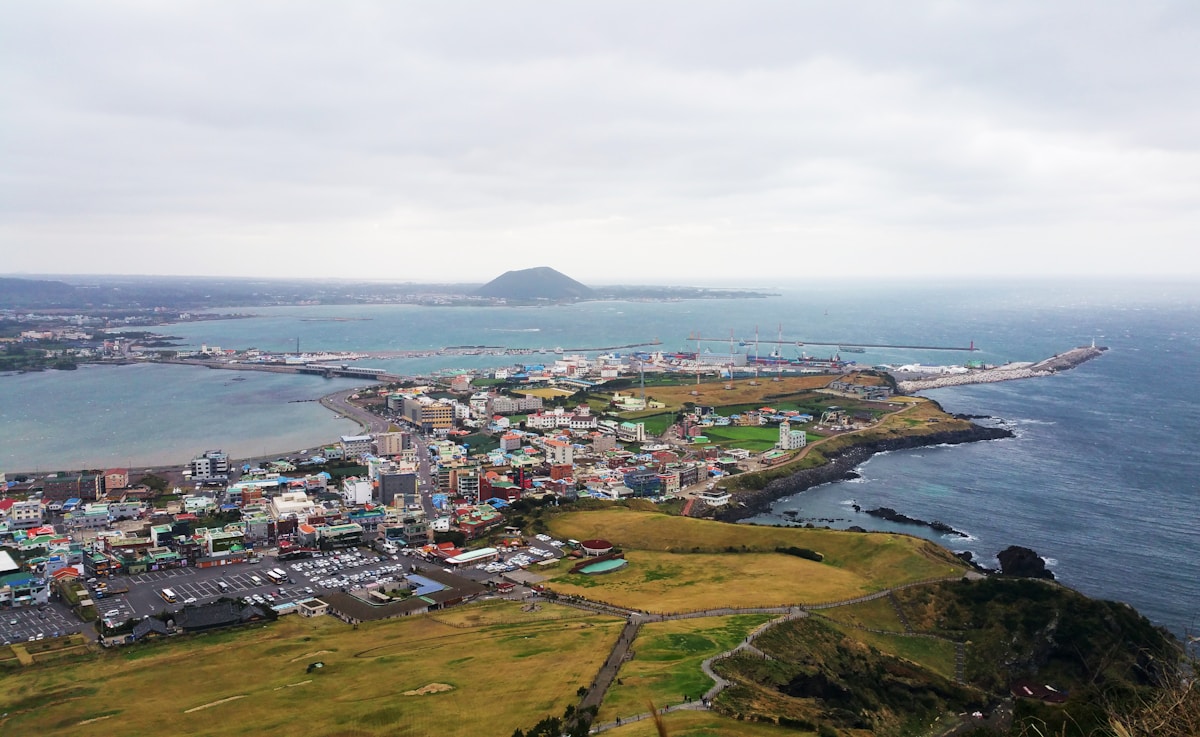 Yellow rapeseed flower field on Jeju Island - 4 day Jeju itinerary