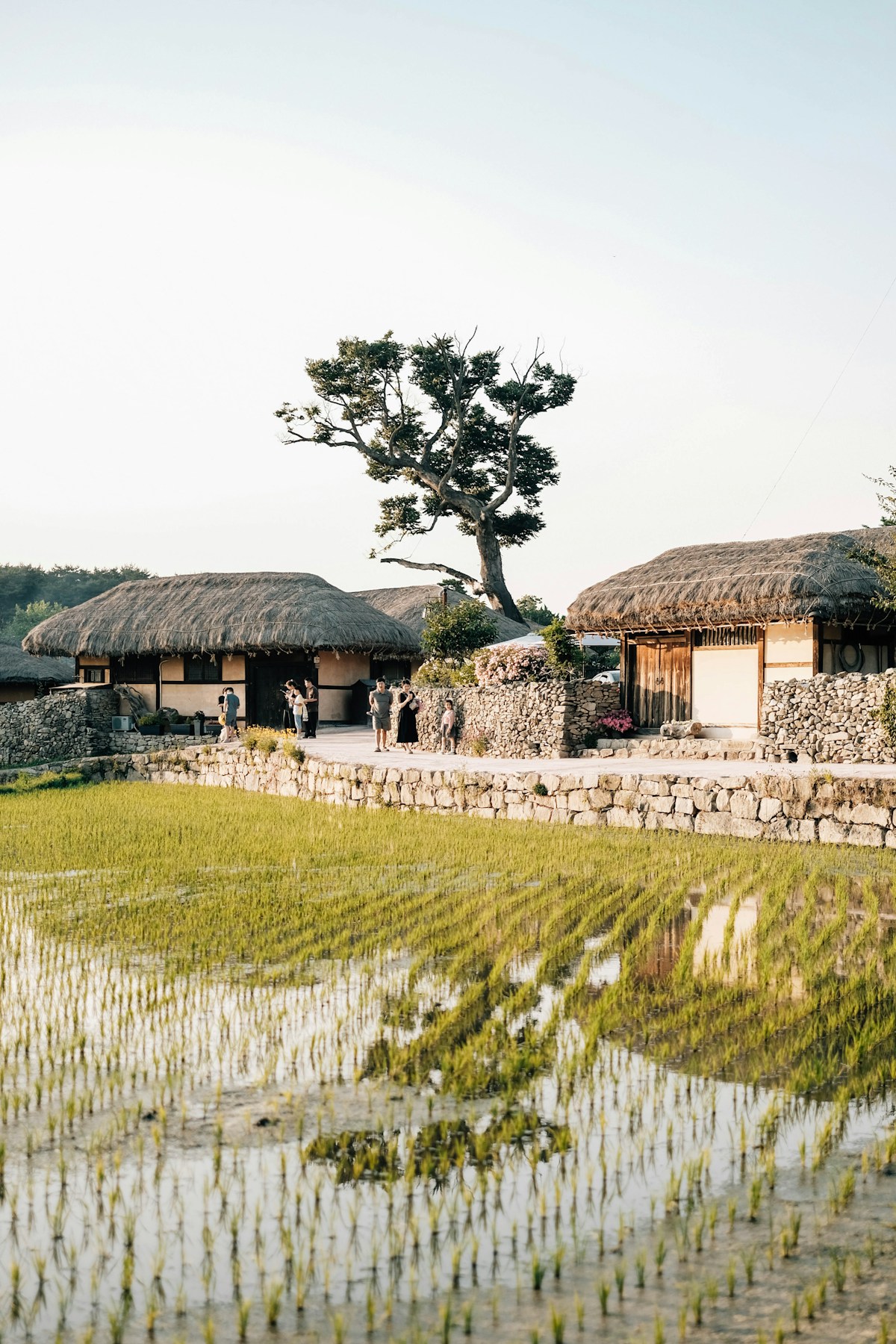 Interior of a traditional Jeonju hanok guesthouse room with floor mattress and paper screens