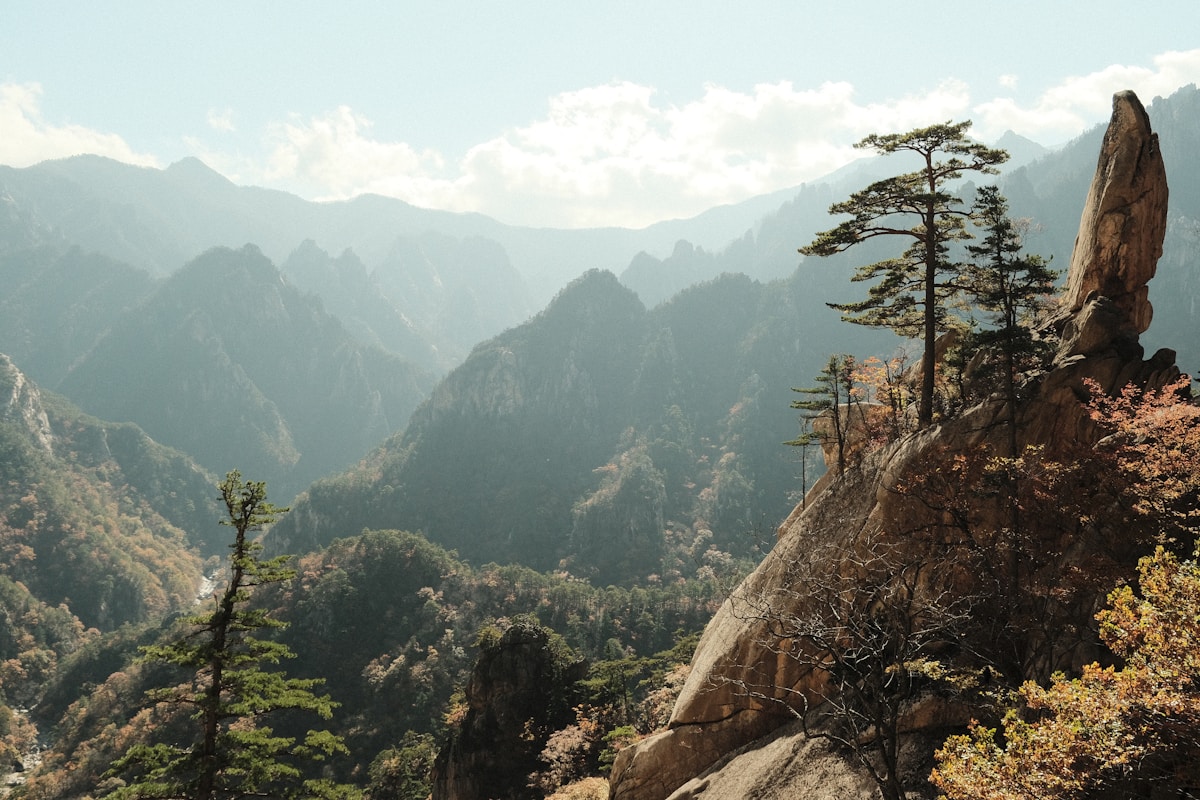 Rocky mountain range with pine trees at Seoraksan National Park near Sokcho, South Korea
